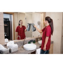 WVP 10 Adv Profesjonalna myjka do okien Karcher