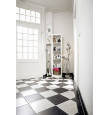 EWM 2 (300 mm, 7,4 V) bezprzewodowy mop Karcher