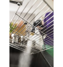 Zestaw szczotek Power Brush SC, SI Karcher