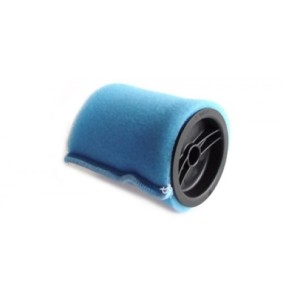 Filtr gąbkowy do SE 4001, Karcher